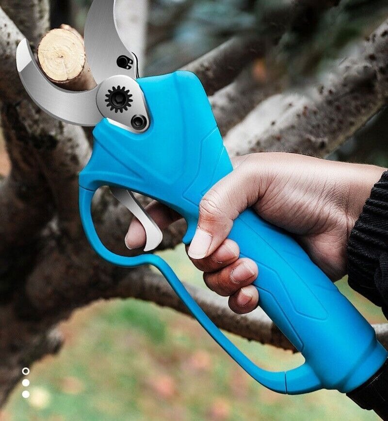 Elektrische Akku Gartenschere Set Übersicht